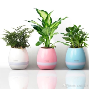 Chậu cây phát nhạc-GOS04